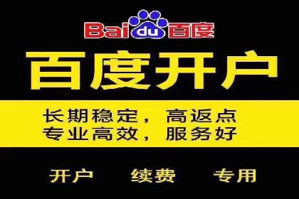 sem竞价代运营的转化率提升技巧及实际案例